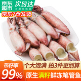 弹指鲜生 海兔子 满籽笔管鱼 鲜活冷冻籽乌章鱼新鲜墨鱼仔小鱿鱼乌贼 生冻笔管鱼 500g(净重)  【京仓发货】