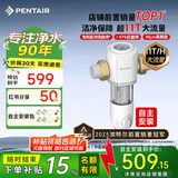 滨特尔（pentair）前置过滤器大通量家用全屋自来水管道过滤器大流量净水器排行前十名水驱涡轮+反冲洗刮洗净水器 【自主安装】S160大通量-40μm