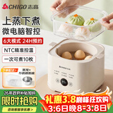 志高（CHIGO）煮蛋器 蒸蛋器 温泉蛋机 智能定时自动断电 煮鸡蛋神器溏心蛋茶叶蛋 小型蒸锅早餐一体机NE-250A
