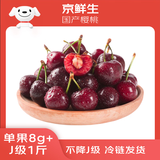 京鲜生 大连美早樱桃 车厘子 J级 1斤装 单果8g+ 生鲜水果