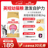 皇家猫粮 英短幼猫粮 BSK38 通用粮 4-12月 2KG