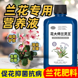 花大师兰灵王兰花专用营养液肥料蝴蝶兰君子兰多箭素兰陵王杀菌药 套餐1 兰灵王+兰花营养液+兰花肥 热销推荐