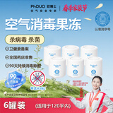 双博士PhDUO防流感甲流李斯特菌大肠杆菌除甲醛除醛果冻空气消毒凝胶 【140平内】6大罐*248g