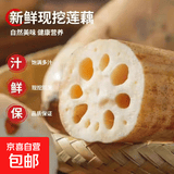 【东东买菜】2026新鲜现挖莲藕农家自种当季水果鲜藕超市买菜蔬菜 精品莲藕-1斤 净重