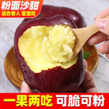 于小乖甘肃天水花牛粉面苹果婴儿刮泥老人粉糯蛇苹果(需放置粉面) 带箱5斤中果（净重4.1斤）