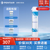 滨特尔（pentair）滤芯适用F2000-A2/F3000-A2/U3000-A2 F2000/F3000第1级聚丙烯炭棒滤芯