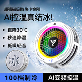 YOUMAKER【AI智能温控可结冰】手机散热器磁吸电竞半导体背夹降温静音直播平板苹果17安卓iqoo王者原神手游 白【AI温控可结冰】琉璃跑马灯丨100档可调+背夹