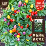 北蔬 七彩椒种子种苗五彩泡椒可观赏盆栽蔬菜种籽 七彩椒种子100粒
