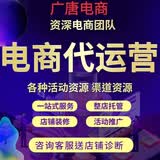京东代运营京东店铺托管网店代运营京准通快车推广京东开店代入驻 京东pop 代运营 专营版