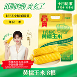 十月稻田 黄甜糯玉米 8根 3.52斤 真空包装 东北粘玉米棒 低脂早餐