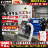 澎博动力（TURBOVOLT）防爆电动抽油泵220v自吸泵自吸水泵抽油机柴油泵抽油神器DYB80-55