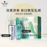 施华蔻（Schwarzkopf）去屑控油礼盒（净屑洗400ml+控油洗400ml）洗发水 团购节日福利