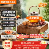 苏泊尔（SUPOR）迷你电陶炉煮茶器茶艺炉围炉煮茶办公室家用养生煮茶炉蒸茶器不挑器具SW-DTL03