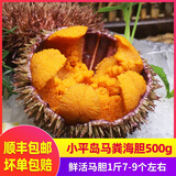 小平岛（xiaopingdao）【活鲜】马粪海胆鲜活即食1斤小平岛大连海鲜海胆新鲜水产刺身 马粪海胆500g(7-9个)