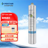 爱惠浦（Everpure）家用净水器直饮机主滤芯 EVP-6000主滤芯