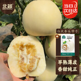 北蔬白皮香瓜种子苗皮薄肉厚白瓤甜瓜水果籽 白皮香瓜种子20粒x2包