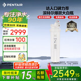 滨特尔（pentair）大白瓶前置过滤器 全屋家用自来水过滤器 前置净水器大蓝瓶 中央净水机大流量大胖瓶高精度 【20寸大白瓶】包安装