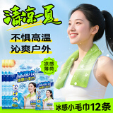 海氏海诺冰凉巾冰感毛巾12条 运动降温户外清凉冷敷散热降温贴