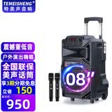 特美声（TEMEISHENG）12英寸广场舞音响户外舞台大功率移动便携式拉杆音箱无线蓝牙大音量K歌扩音配双话筒SL12-31 8寸标配+2支无线话筒+大礼包