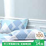 艾薇 A类全棉枕套 学生宿舍枕头套单人枕芯套 一个装 巴德尔 48*74cm