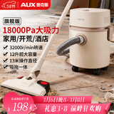 奥克斯（AUX）桶式吸尘器家用强劲大吸力工业开荒装修美缝车用商用地毯吹吸尘机12L大容量AXC-22AT588A旗舰版