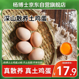 杨博士皖南散养土鸡蛋10枚 净重400g 新鲜溏心蛋整箱源头直发