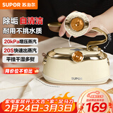 苏泊尔（SUPOR）【优雅复古】手持挂烫机24g/min家用熨烫机110ml水箱蒸汽电熨斗小型便携式EGH-906A新年礼物