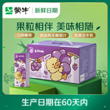 蒙牛【新鲜日期】真果粒葡萄味250g*12盒 小黄鸭IP定制装 礼盒新老包