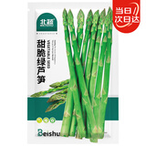 北蔬 绿芦笋种子种苗四季多年生蔬菜种籽 北蔬甜脆绿芦笋种子100粒