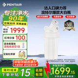 滨特尔（pentair）大白瓶前置过滤器 全屋家用自来水过滤器 前置净水器大蓝瓶 中央净水机大流量大胖瓶高精度 【10寸大白瓶】包安装