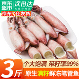 弹指鲜生 海兔子 满籽笔管鱼 鲜活冷冻籽乌章鱼新鲜墨鱼仔小鱿鱼乌贼 生冻笔管鱼 1500g(净重)  【99%含籽】