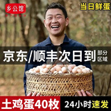 乡公馆土鸡蛋新鲜农家散养谷物喂养土鸡蛋柴笨鸡蛋草鸡蛋新鲜整箱装 土鸡蛋40枚 整箱1.6kg