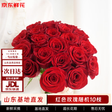 京东鲜花玫瑰花红色玫瑰10枝如意基地鲜切花水养插花生活花束送礼源头直发