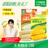 十月稻田 黄糯玉米3.52斤+白糯玉米4.16斤 早餐粗粮