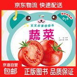 撕不烂识字翻翻书中英双语注音版婴儿早教书 0-6岁宝宝启蒙圈圈书幼儿认字8大主题看图识物卡片幼儿启蒙书本 蔬菜