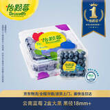 怡颗莓Driscoll's 云南蓝莓Jumbo大果18mm+ 2盒约125g/盒 新鲜水果
