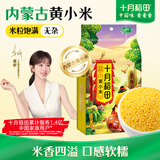 十月稻田 内蒙古黄小米 2斤 养胃早餐煮粥 五谷杂粮 低脂粗粮 米油醇厚