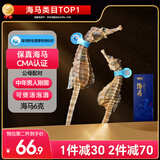 半山农 海马6克 一公一母正品海马干泡酒料中药材男性滋补搭壮持久阳肾