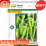 寿禾 牛角椒辣椒种子青椒羊角型大果尖椒早熟寿光冬春季菜种籽菜籽 辣帝1号尖椒杂交种子 1000粒原装