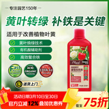 美乐棵园艺植物补铁剂花肥肥料改善叶黄植物营养液500ML
