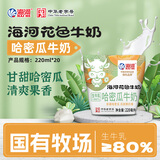 海河花色牛奶 哈密瓜口味220ml*20袋牛角包风味奶儿童早餐奶新鲜乳品