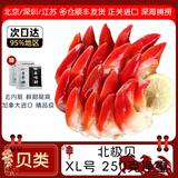 鲜承加拿大进口冷冻北极贝 寿司食材海鲜水产北极贝超大号 【北极贝XL号】 250g(净重)