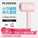 飞科（FLYCO）负离子电吹风机家用大功率冷热风恒温护发吹风筒FH6291