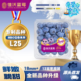佳沃（joyvio）L25云南花香蓝莓18mm+12盒约125g/盒新鲜水果源头包邮