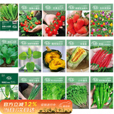 寿禾蔬菜种子大全四季可种春季套餐南北方菜种籽 15种蔬菜种子大全