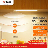 公牛（BULL）感应橱柜灯衣柜灯LED人感光感磁吸 卧室床沿玄关小夜灯30CM3000K