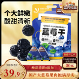 三只松鼠每日蓝莓干500g 蜜饯果干酸甜休闲零食下午茶孕妇儿童健康零食