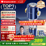 惠尔顿前置过滤器15T大通量过滤25微米反冲洗家用全屋净水器 实时自动清洗刮洗自来水防爆过滤器P0038pro 自行安装【15T-升级25微米精滤】