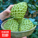 京喜加当季云南凤梨释迦果佛头果新鲜番荔枝释迦应季水果 1粒250g大果净重0.5斤