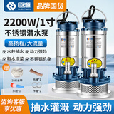 臣源潜水泵220V家用水井水抽水泵不锈钢农用小型污水泵灌溉浇菜高扬程 2200W/1寸不锈钢清水【10米线+10米水带】